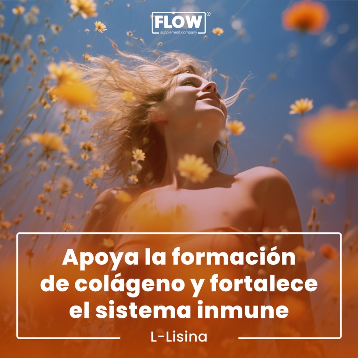 L - lisina / 90 cápsulas de 500 mg c/u.