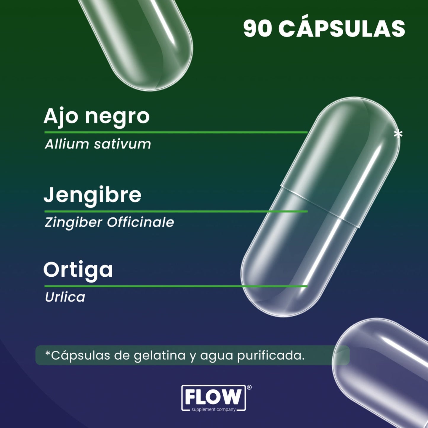 Ajo Negro + Jengibre + Ortiga / 90 cápsulas de 500 mg c/u