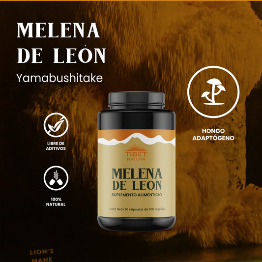 Melena de León Tibet  - 90 Cápsulas de 500 mg c/u