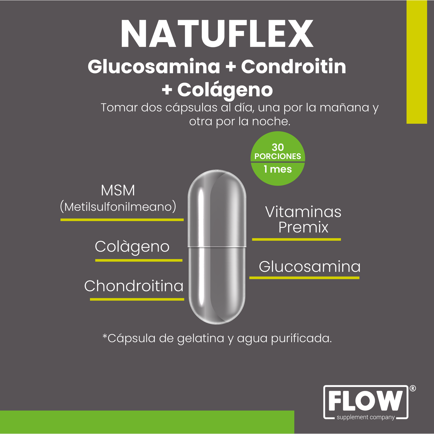 Natuflex - Glucosamina + Condroitina + Colageno / 90 cápsulas de 500 mg.