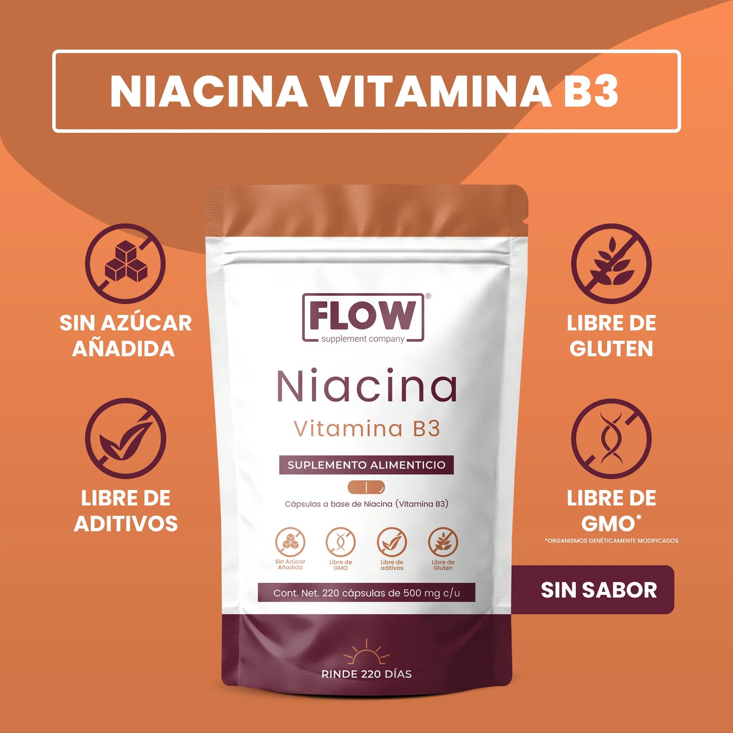 Niacina (Vitamina B3) 220 Cápsulas | Apoyo al Metabolismo y Energía
