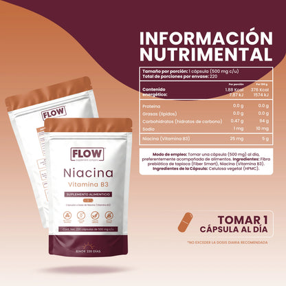 Niacina (Vitamina B3) 220 Cápsulas | Apoyo al Metabolismo y Energía