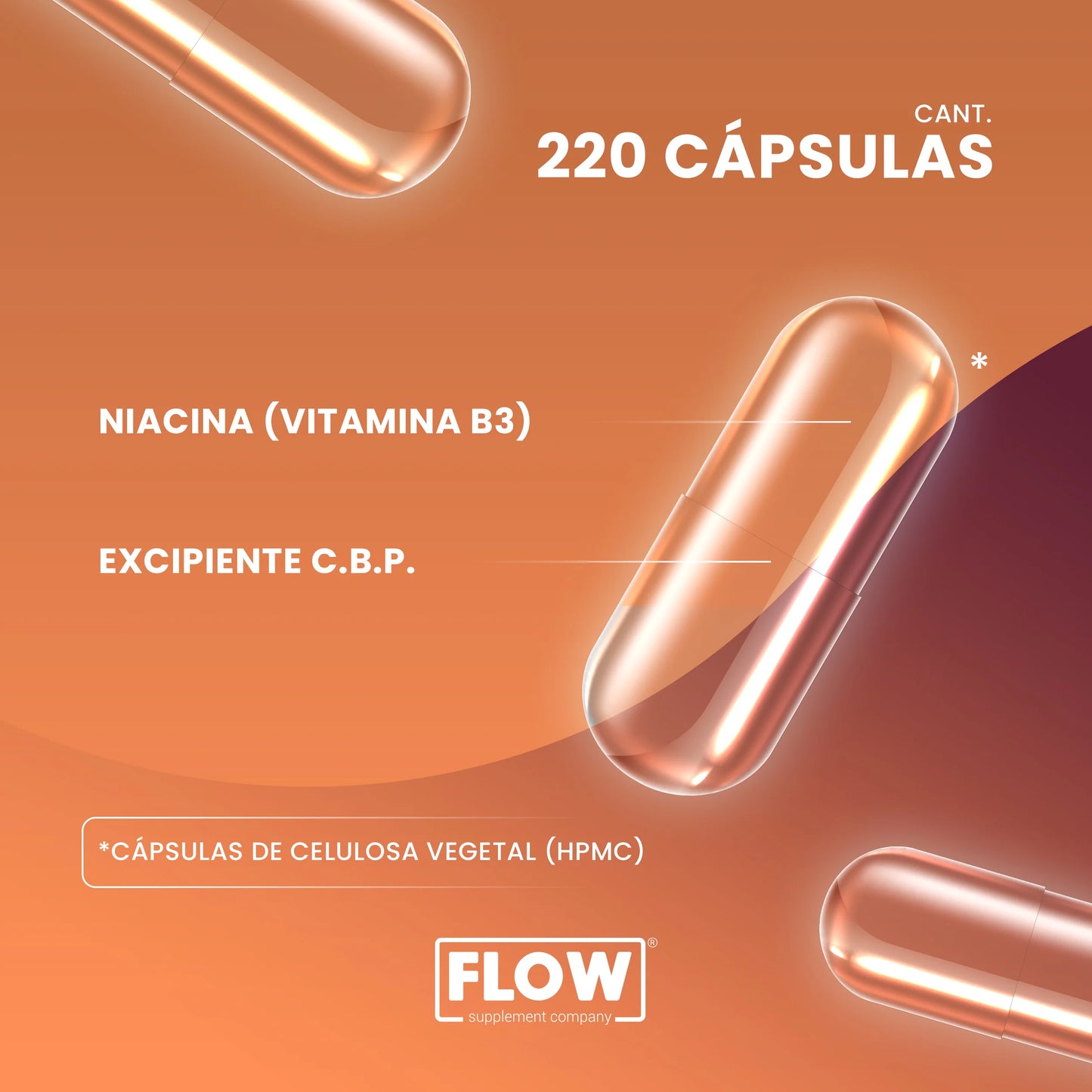 Niacina (Vitamina B3) 220 Cápsulas | Apoyo al Metabolismo y Energía