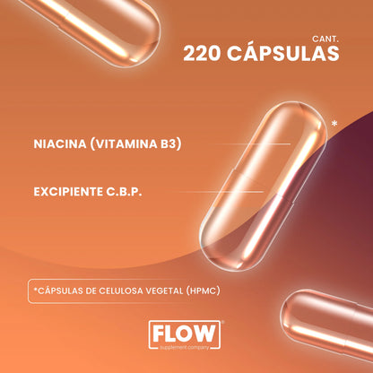 Niacina (Vitamina B3) 220 Cápsulas | Apoyo al Metabolismo y Energía