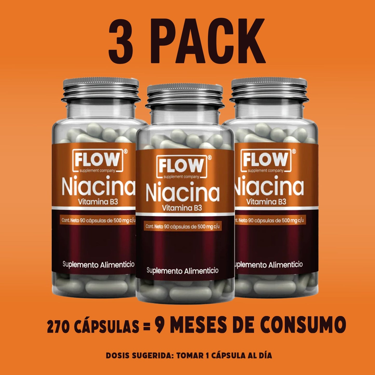 Niacina (Vitamina B3) / 90 cápsulas de 500 mg c/u